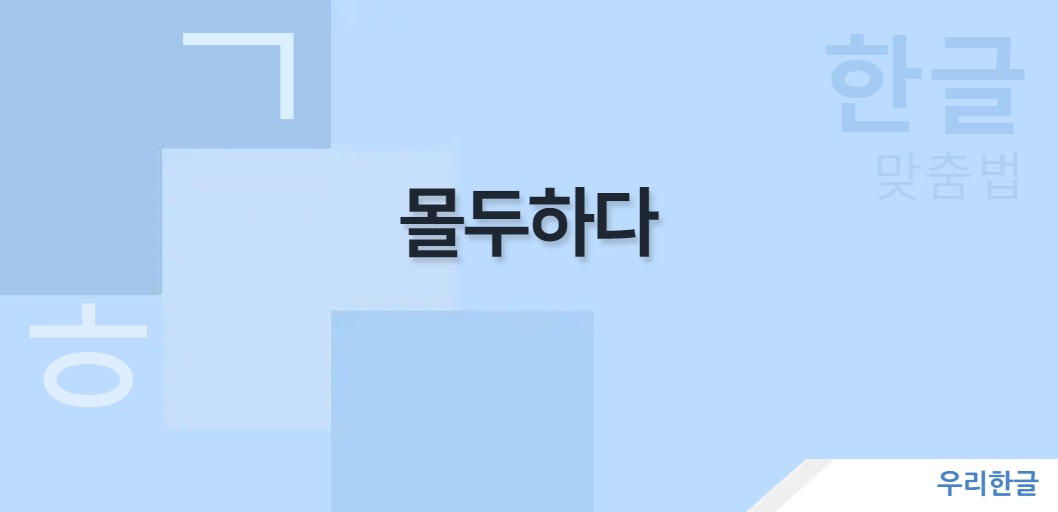 몰두하다 사용법