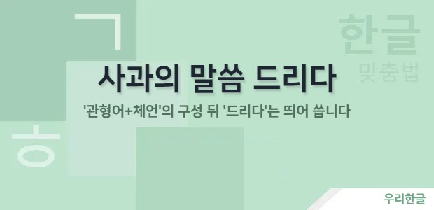 사과의 말씀 드리다 - '관형어+체언'의 구성 뒤 '드리다'는 띄어 씁니다