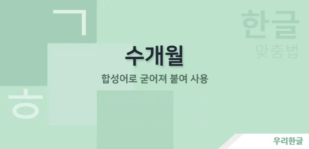 수개월 - 합성어로 굳어져 붙여 사용