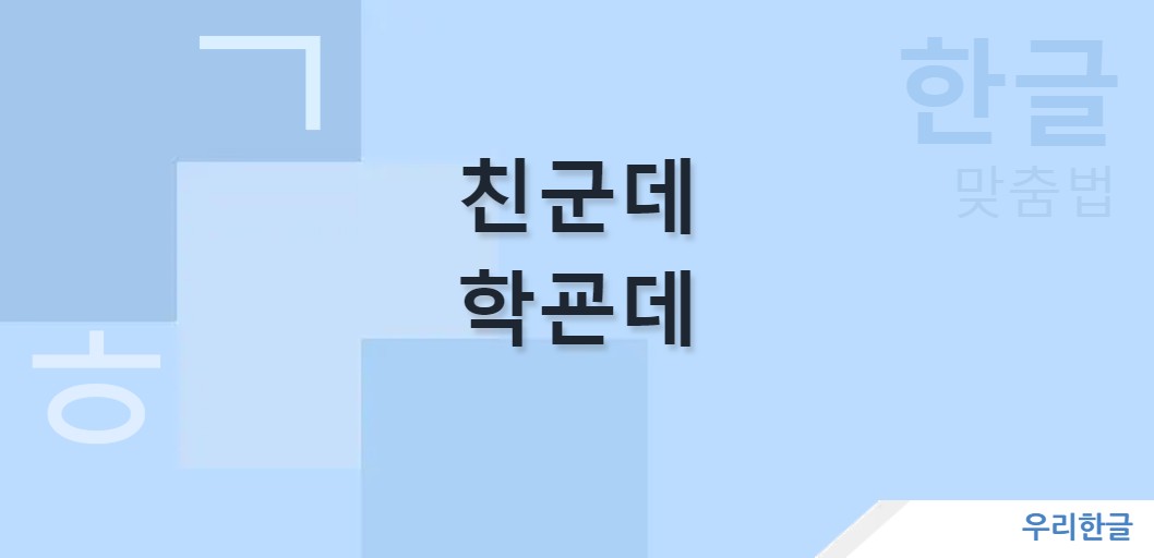 친군데 학굔데 맞춤법