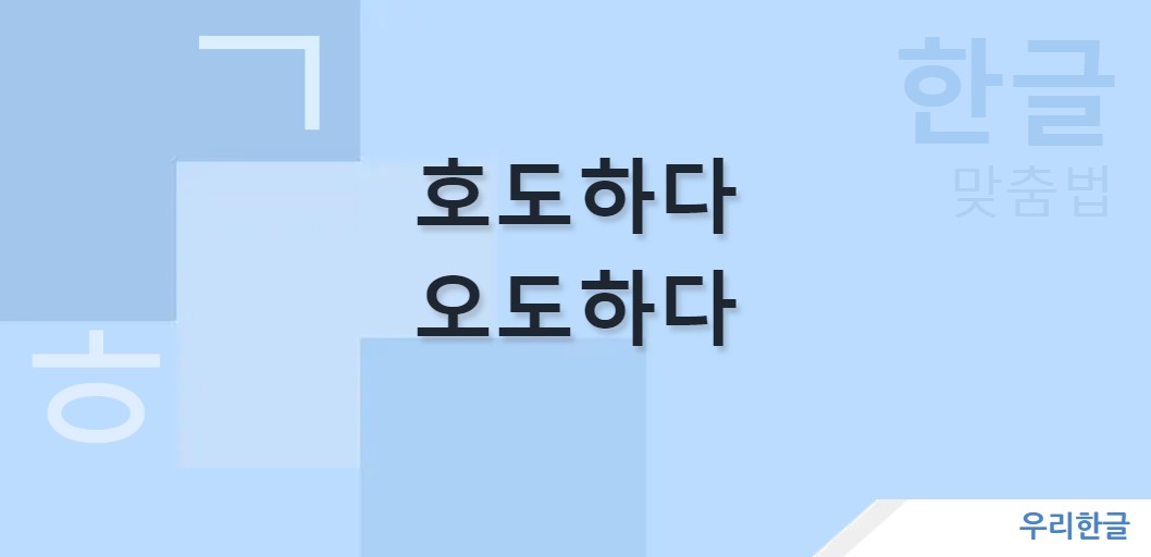 호도하다 오도하다 맞춤법