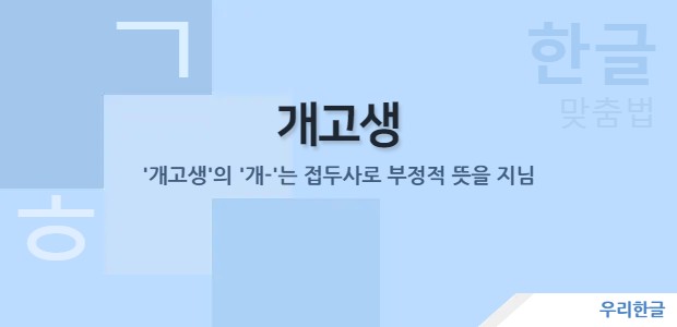 개고생 - '개-'는 접두사로 부정적 뜻을 지님