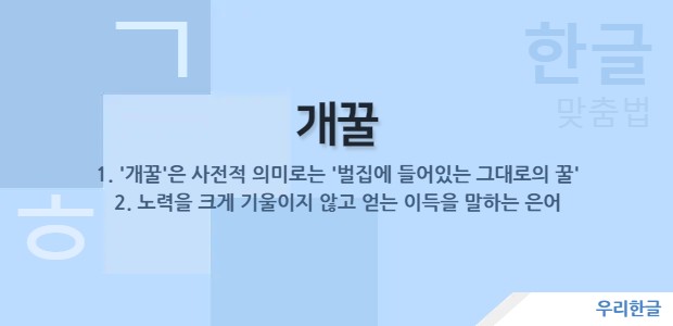 개꿀 - 벌집에 들어있는 그대로의 꿀, 노력을 크게 기울이지 않고 얻는 이득