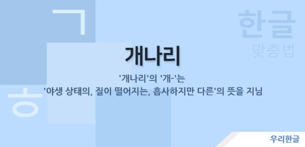 개나리 - '개-'는 '야생 상태의, 질이 떨어지는, 흡사하지만 다른'의 뜻을 지님