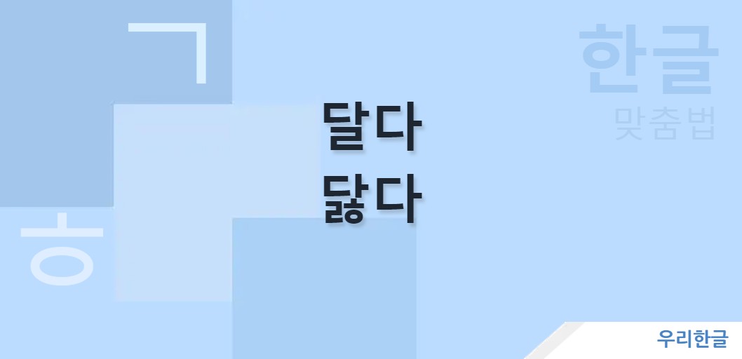 달다 닳다 맞춤법