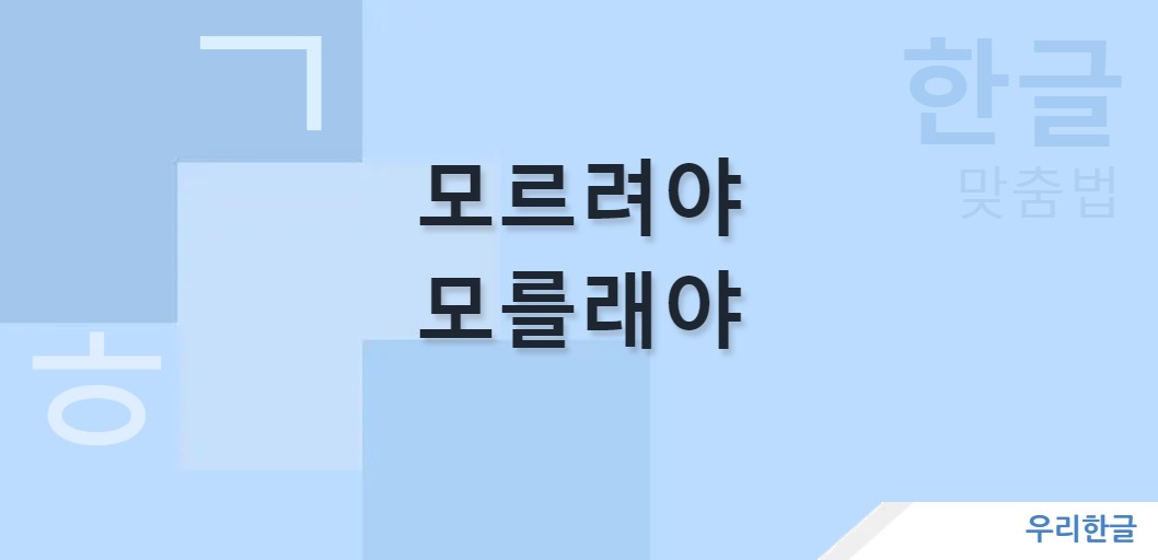 모르려야 모를래야 맞춤법