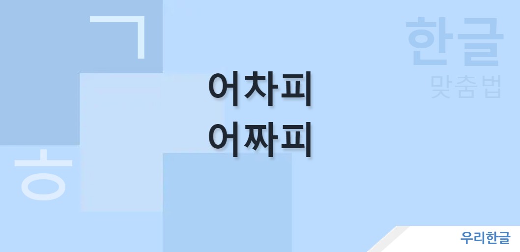 어차피 어짜피 맞춤법